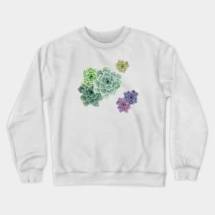 Succulents Crewneck Sweatshirt